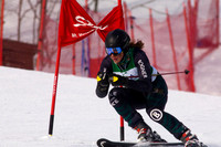 ski7
