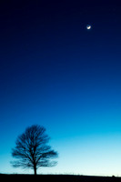 moon2