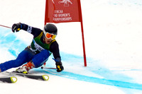 NCAA 2011 National Alpine and Nordic Championships