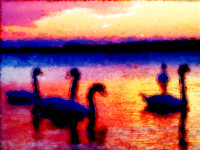 mcollierart1987_ducks