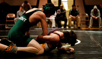 stja wrestle