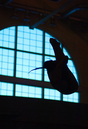 diver7