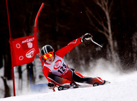 Sugarbush_VT_Alpine_10