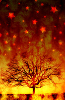 SMALL dsawnstree