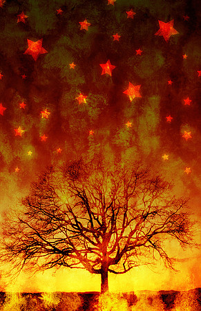 SMALL dsawnstree