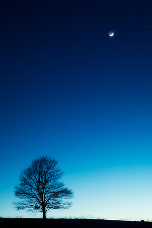 moon2