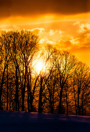 CollierWinterSunset-1